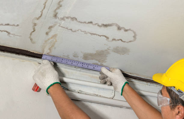 Reliable Water Damage contractor in East Lansing, MI by Water Damage Irwin